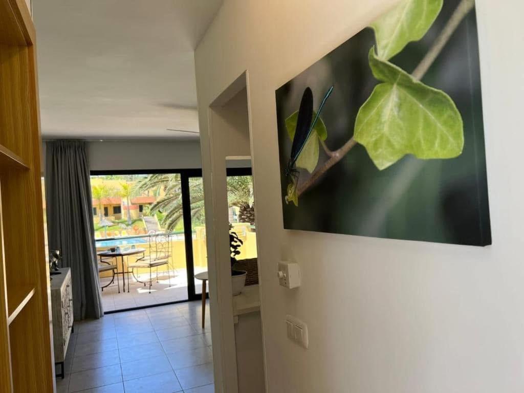 Atlantic Garden Andrew Apartments Pool Air Conditioning Corralejo Ngoại thất bức ảnh